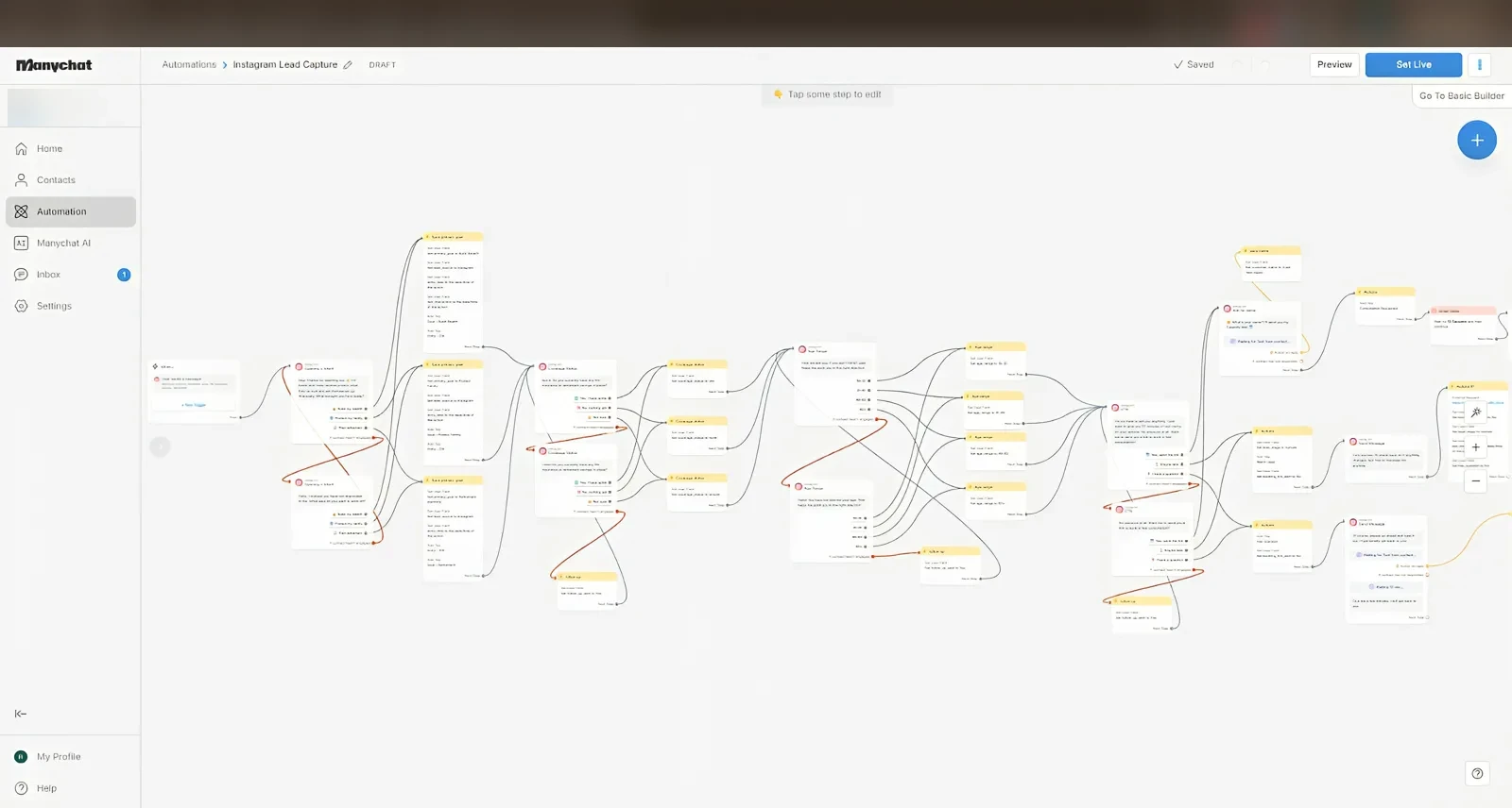 A longer ManyChat flow with several question paths and actions. Client details removed.